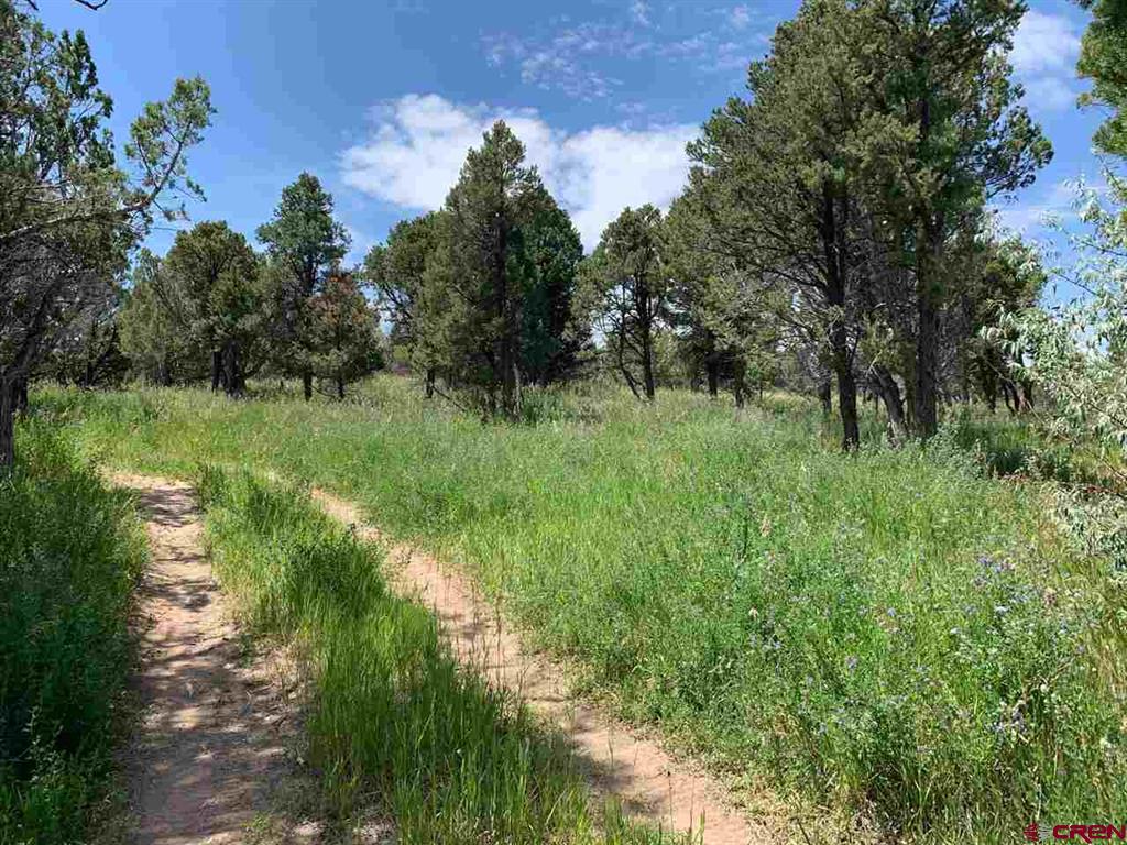 678 3375 Road