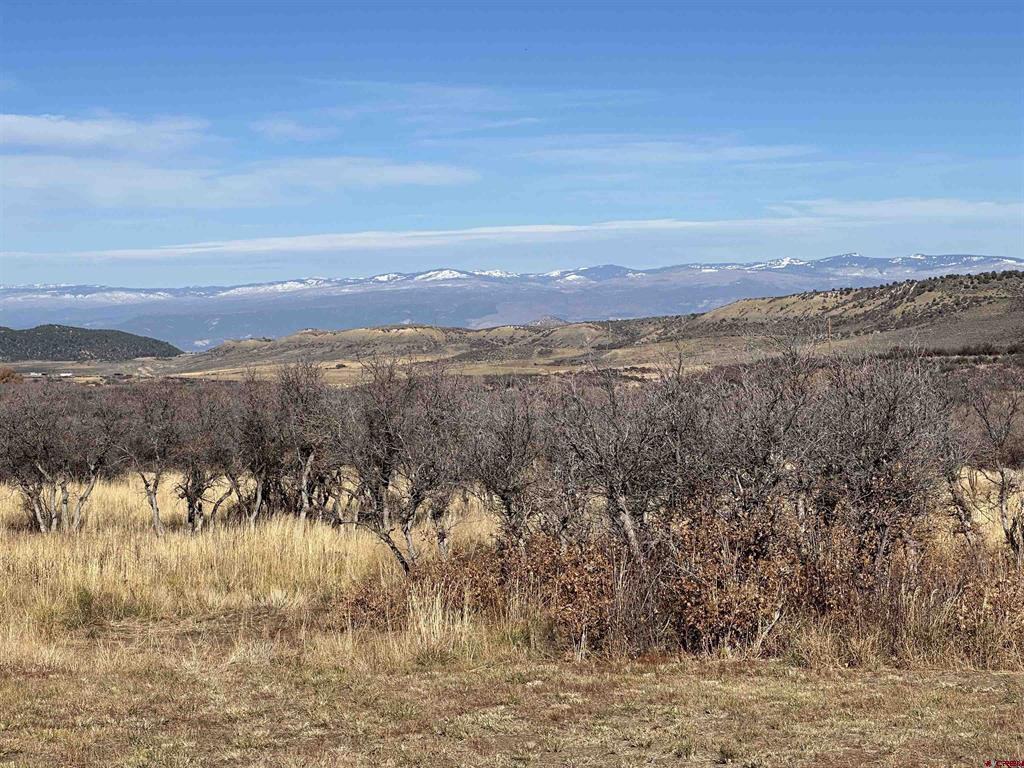 TBD 8250 Road