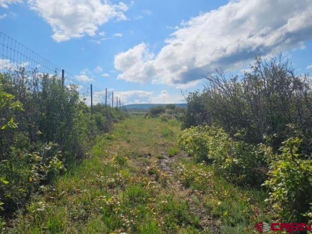 TBD 8250 Road