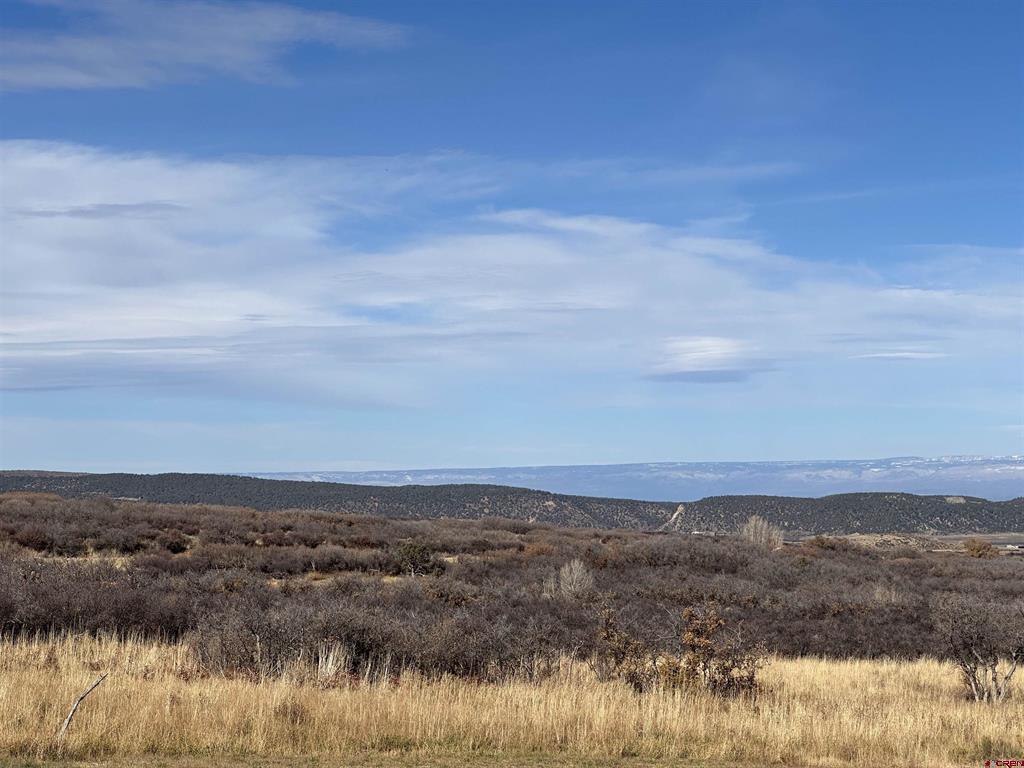 TBD 8250 Road