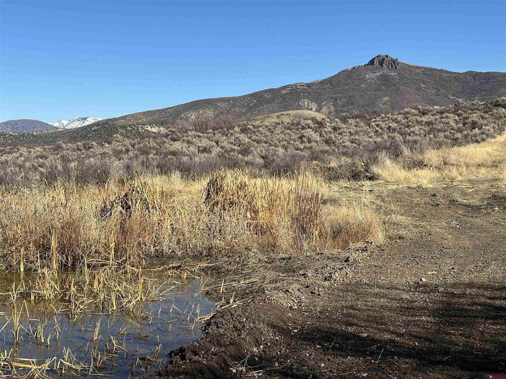 TBD 8250 Road