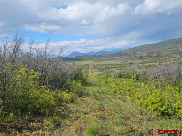 TBD 8250 Road