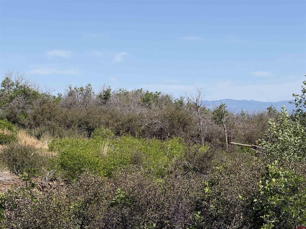 TBD 8250 Road