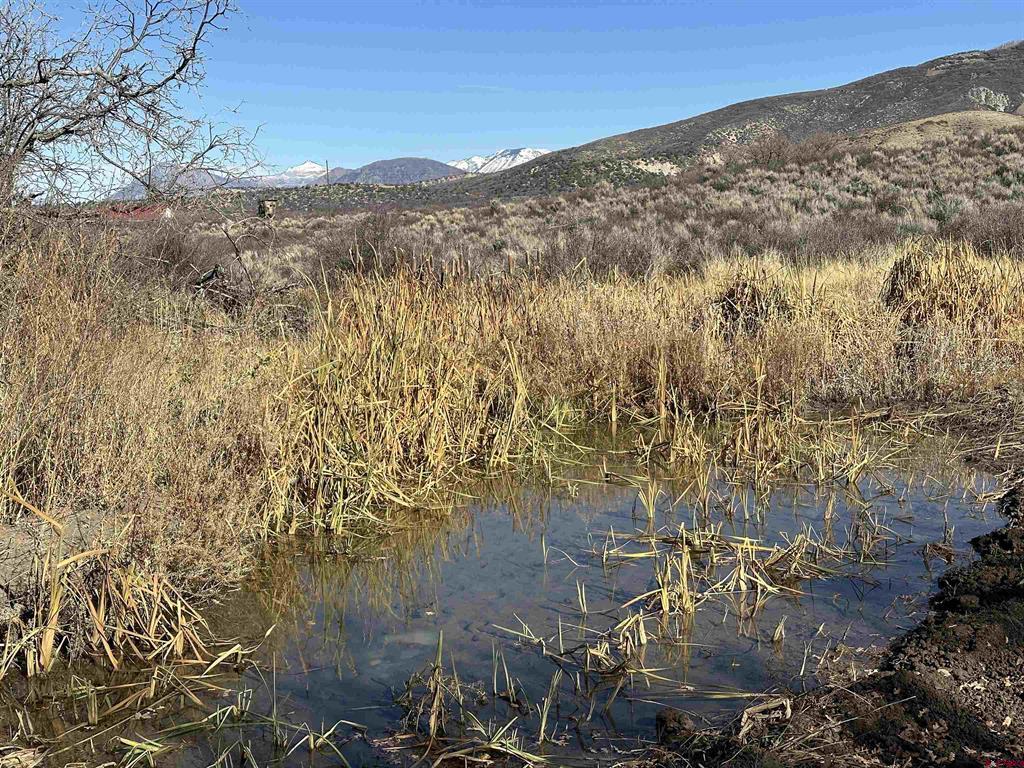 TBD 8250 Road