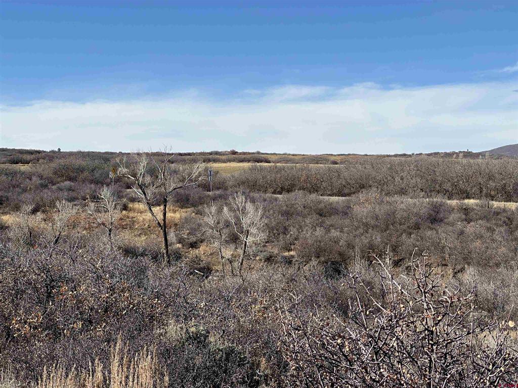 TBD 8250 Road