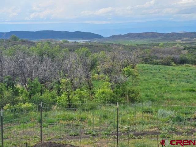 TBD 8250 Road