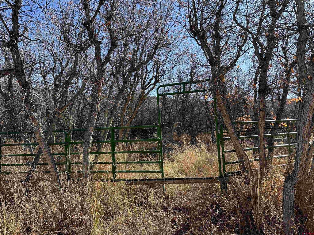 TBD 8250 Road