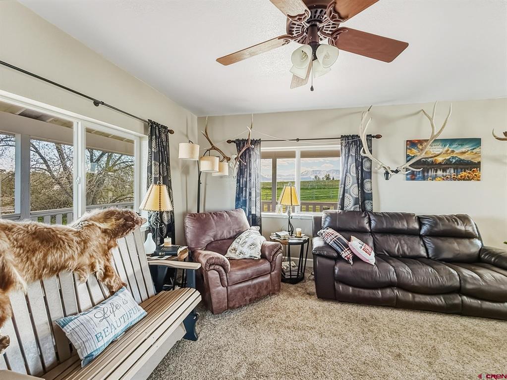 36432 Fruitland Mesa Road