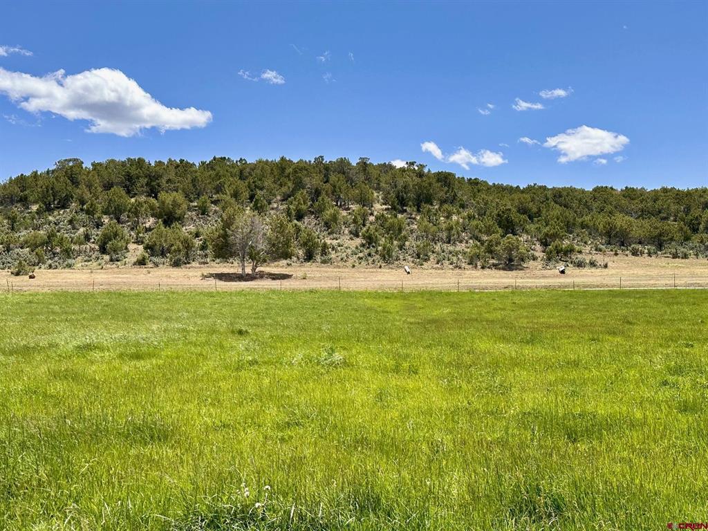 Parcel C - TBD Lamborn Mesa Road