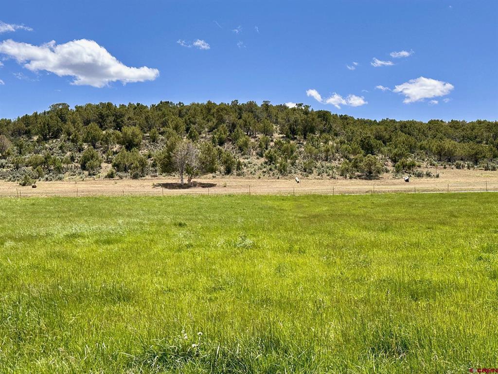 Parcel C - TBD Lamborn Mesa Road