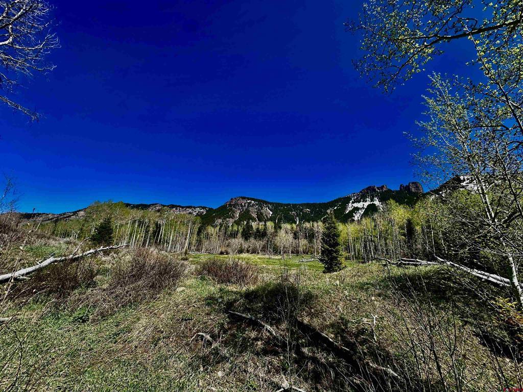 Tbd Forest Service Road 814