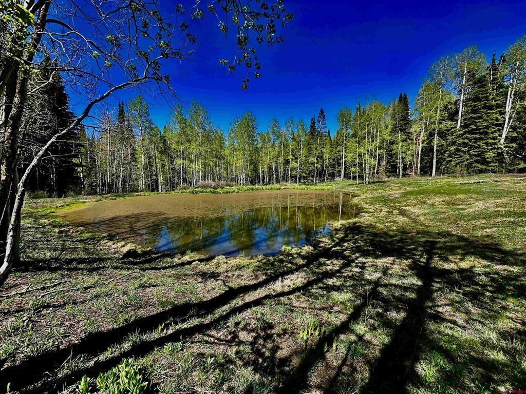 Tbd Forest Service Road 814