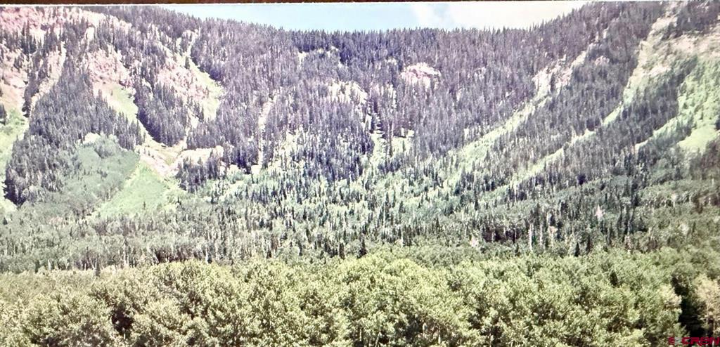 Tbd Forest Service Road 814