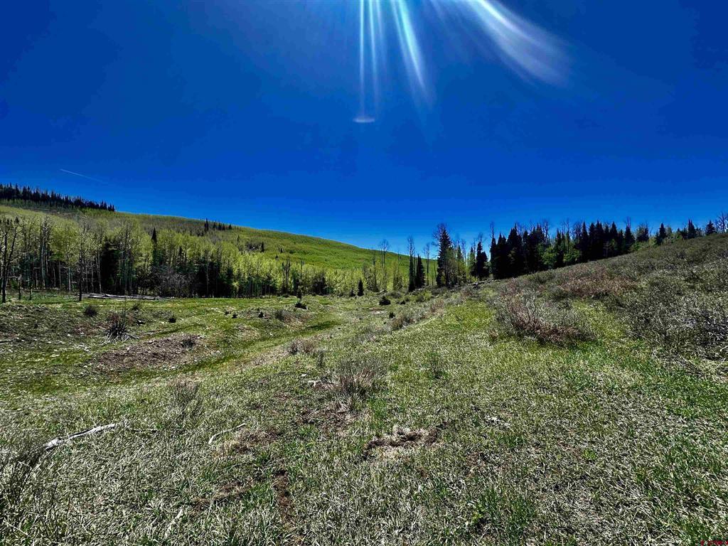 Tbd Forest Service Road 814