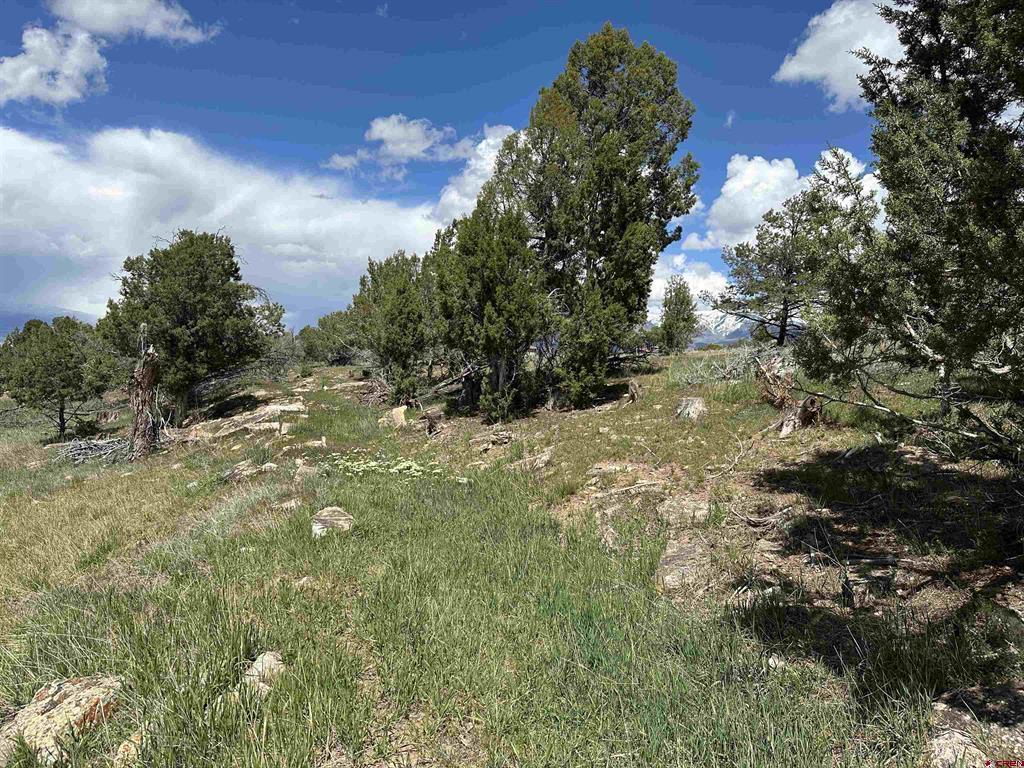 37838 Polson Road