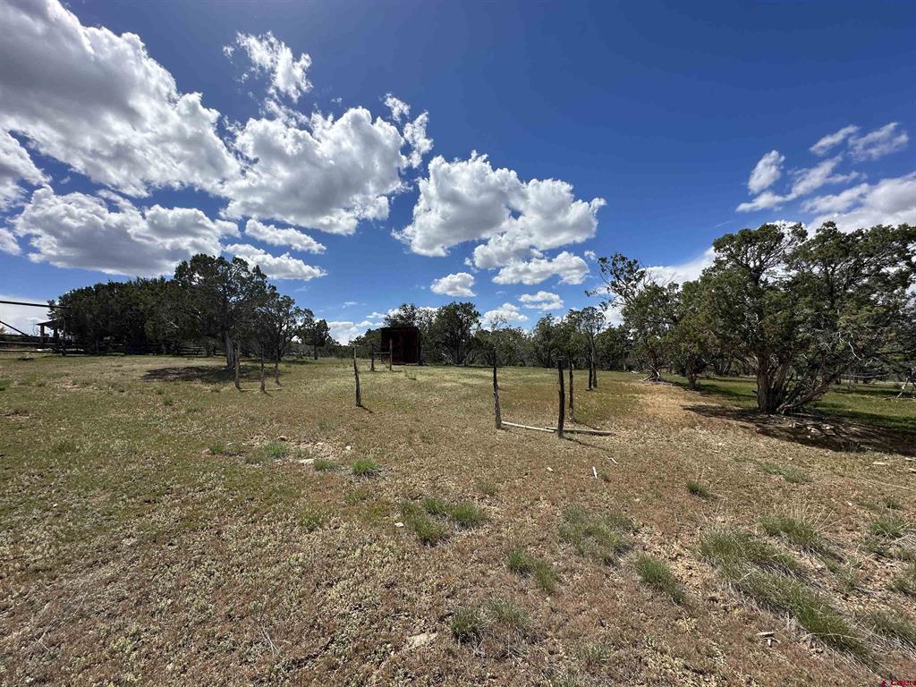 37838 Polson Road