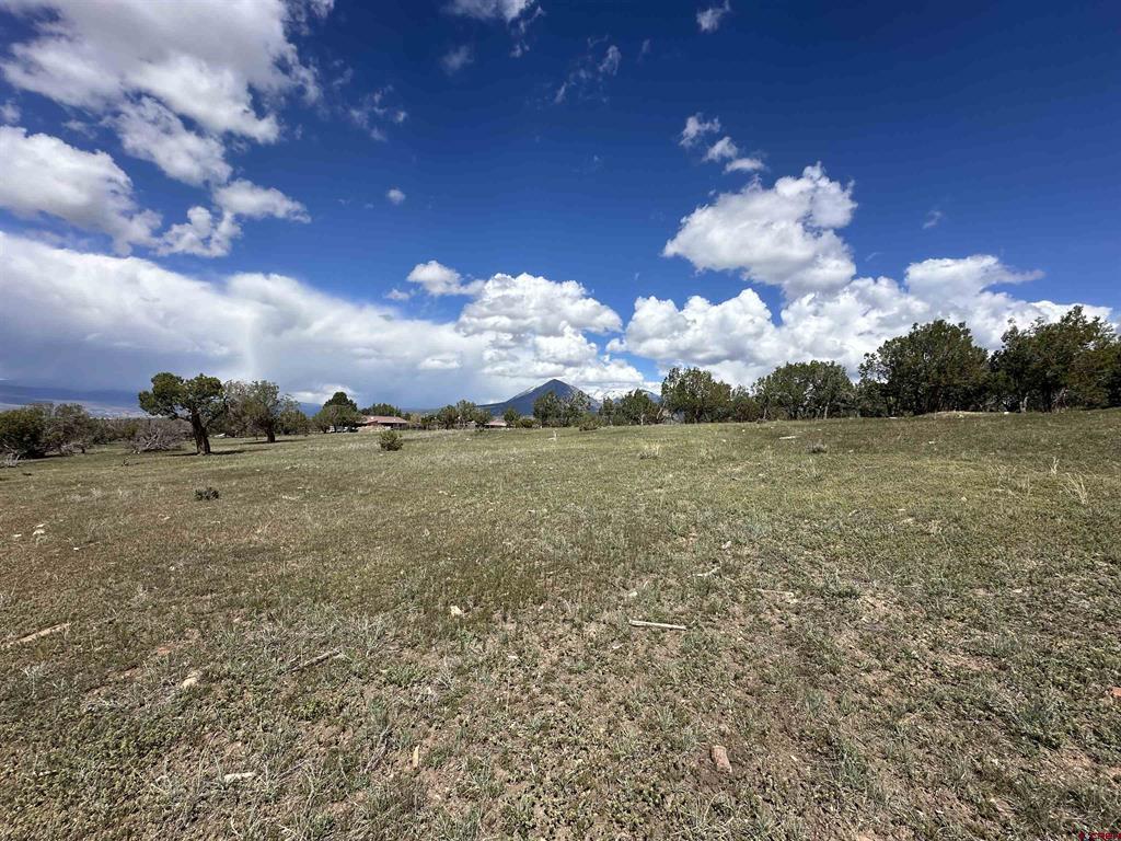 37838 Polson Road