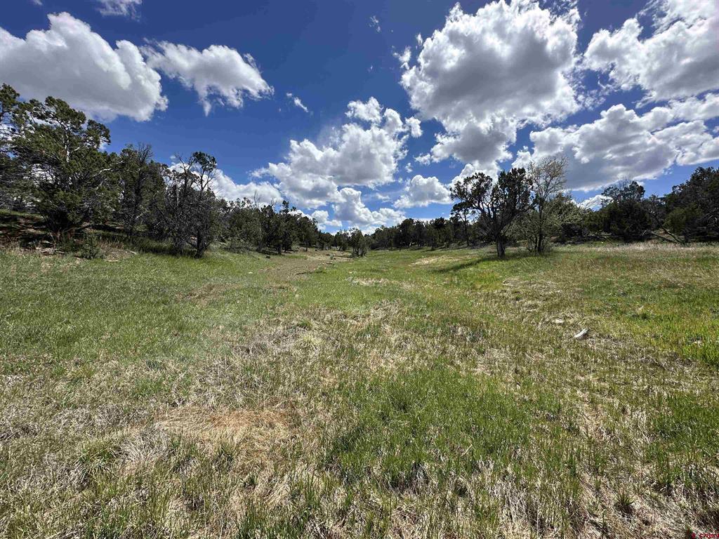 37838 Polson Road