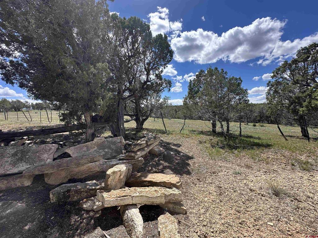 37838 Polson Road