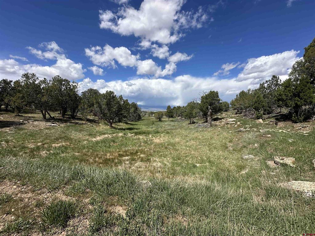 37838 Polson Road