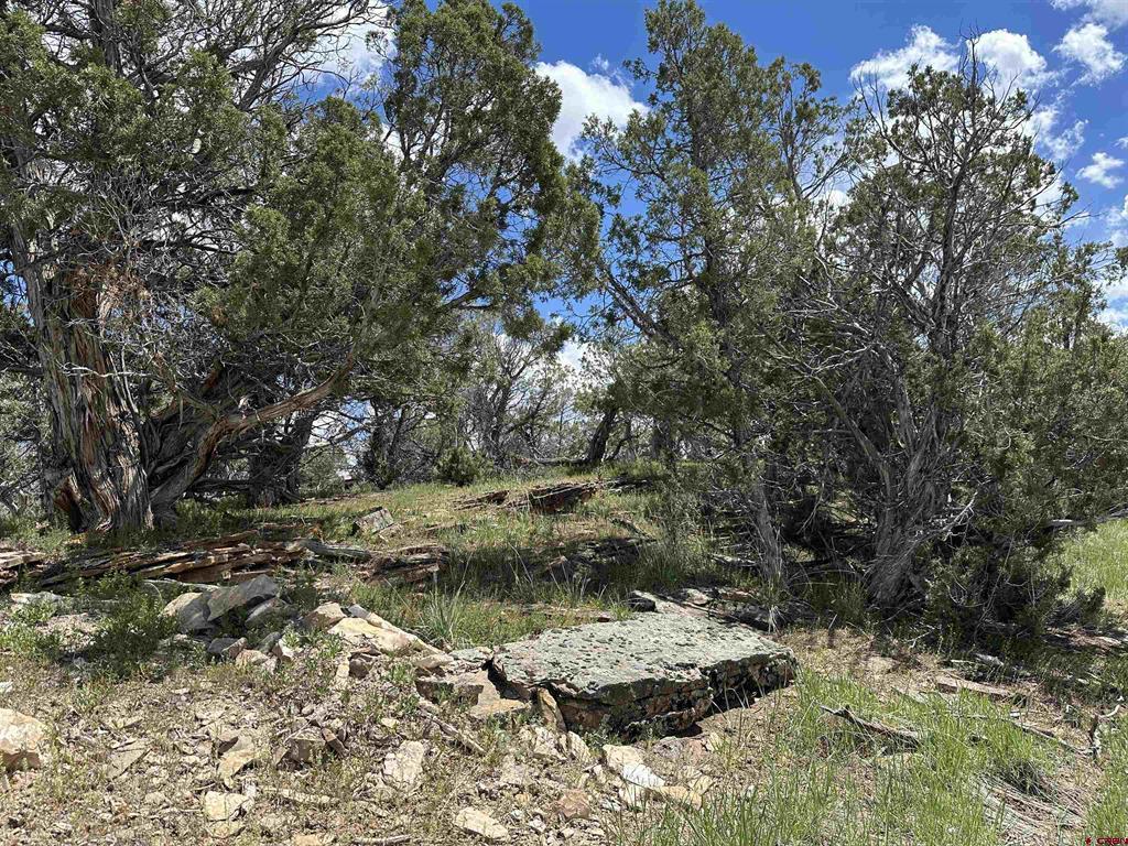 37838 Polson Road