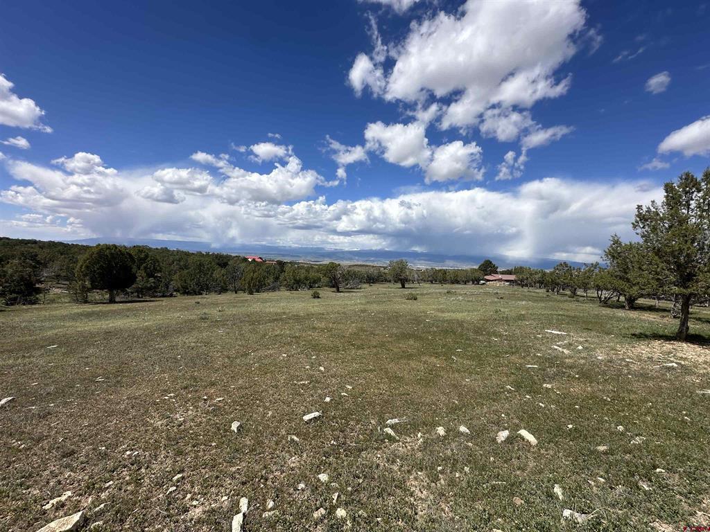 37838 Polson Road