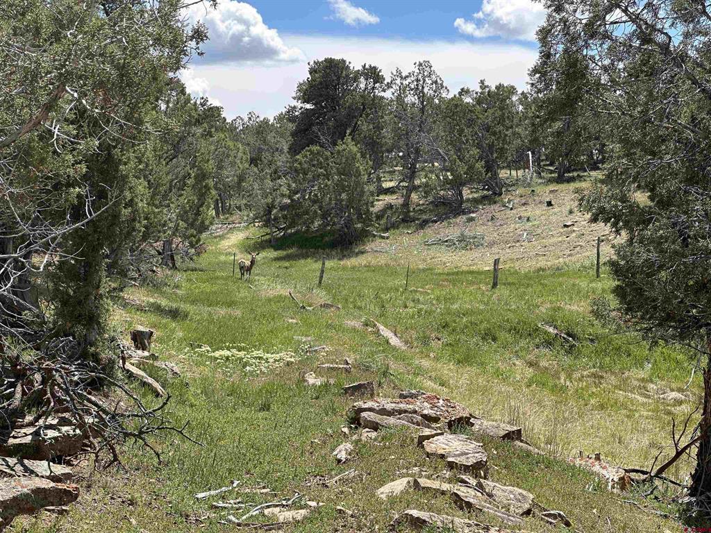 37838 Polson Road