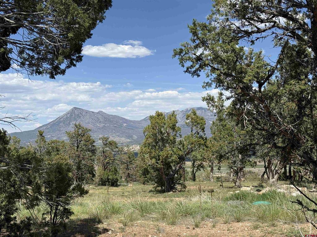 79014 Antler Trail