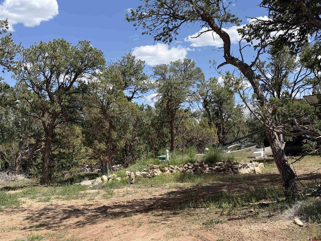 79014 Antler Trail