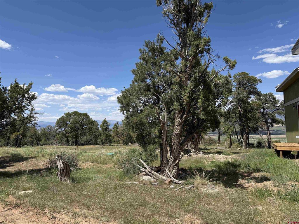 79014 Antler Trail