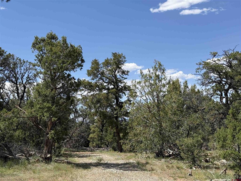 79014 Antler Trail