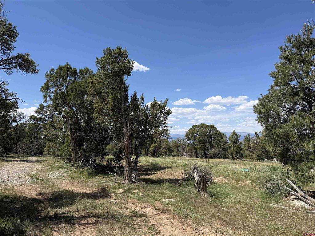79014 Antler Trail