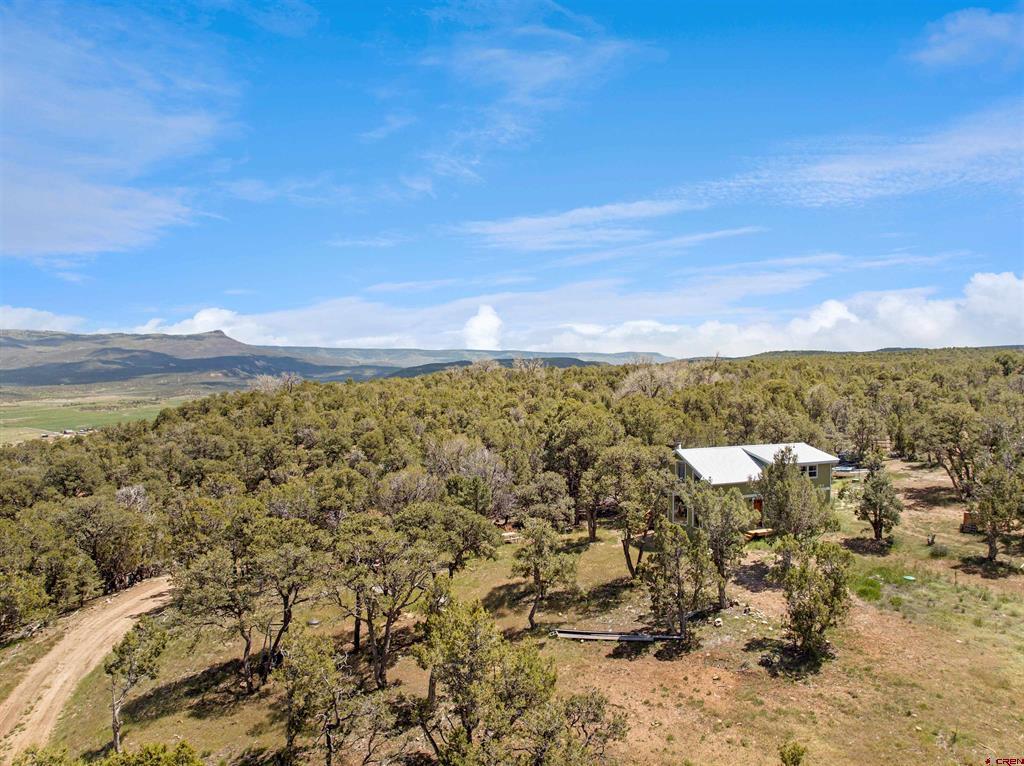 79014 Antler Trail