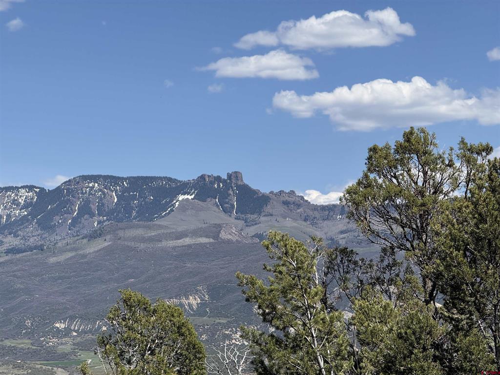 79014 Antler Trail