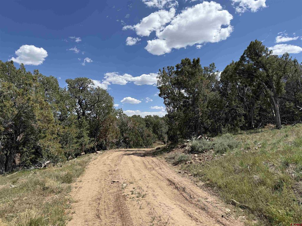 79014 Antler Trail