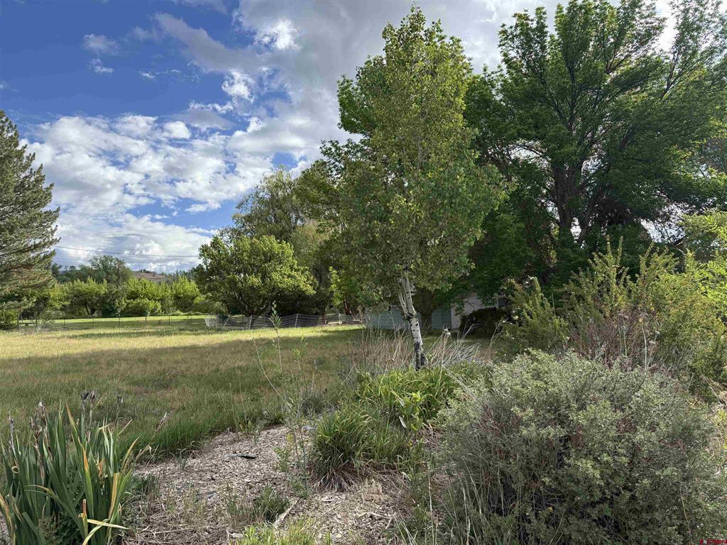 10944 3500 Road