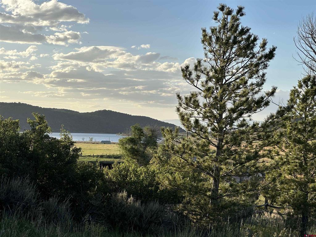 81438 Highway 92
