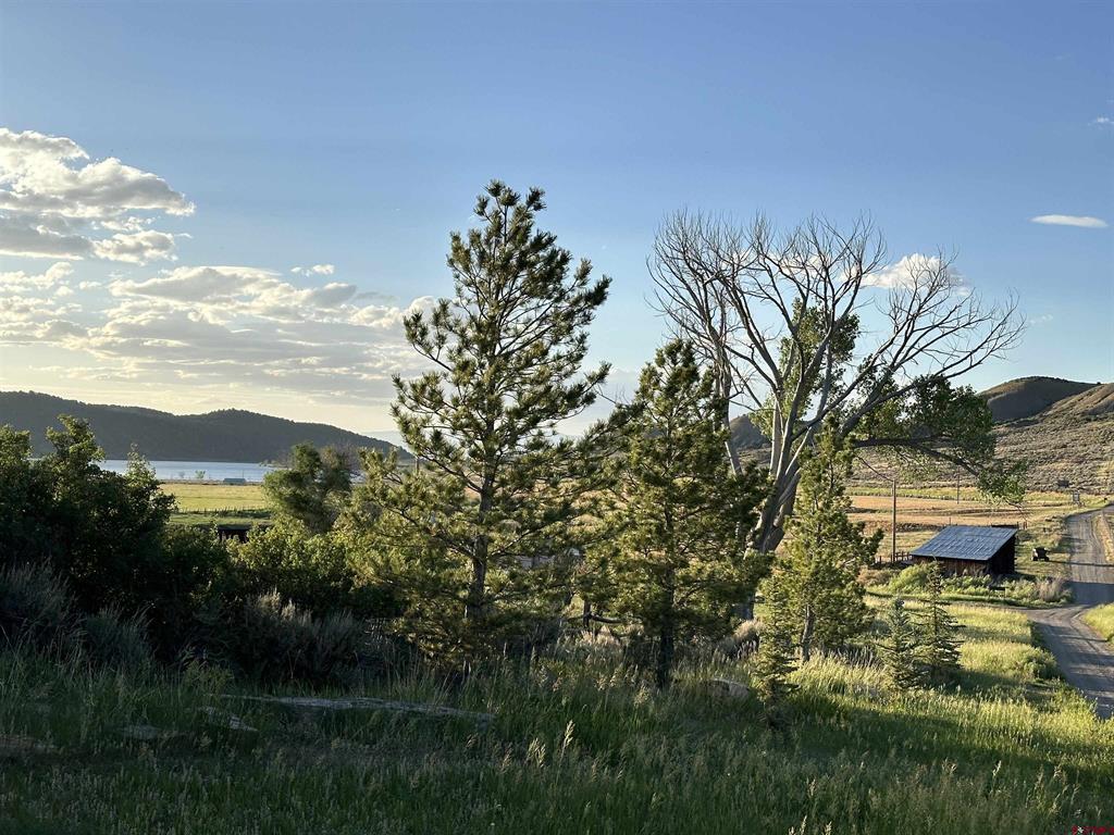81438 Highway 92