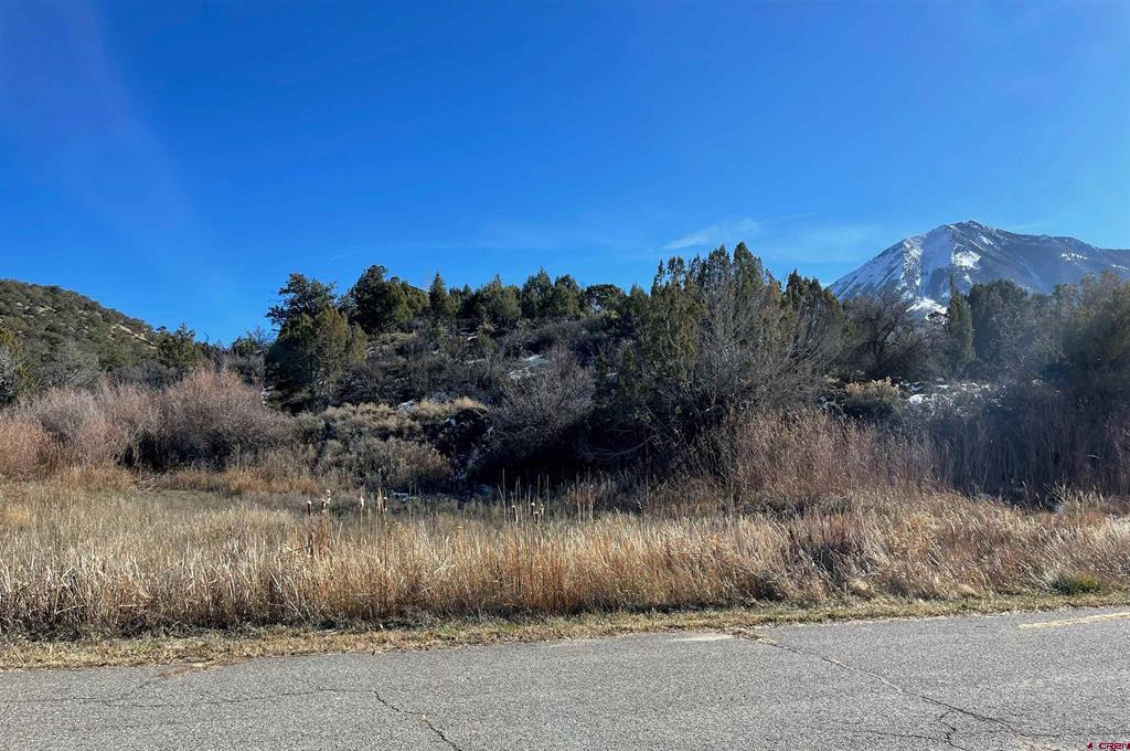 Lot 9 Gunnison Mountain Lane