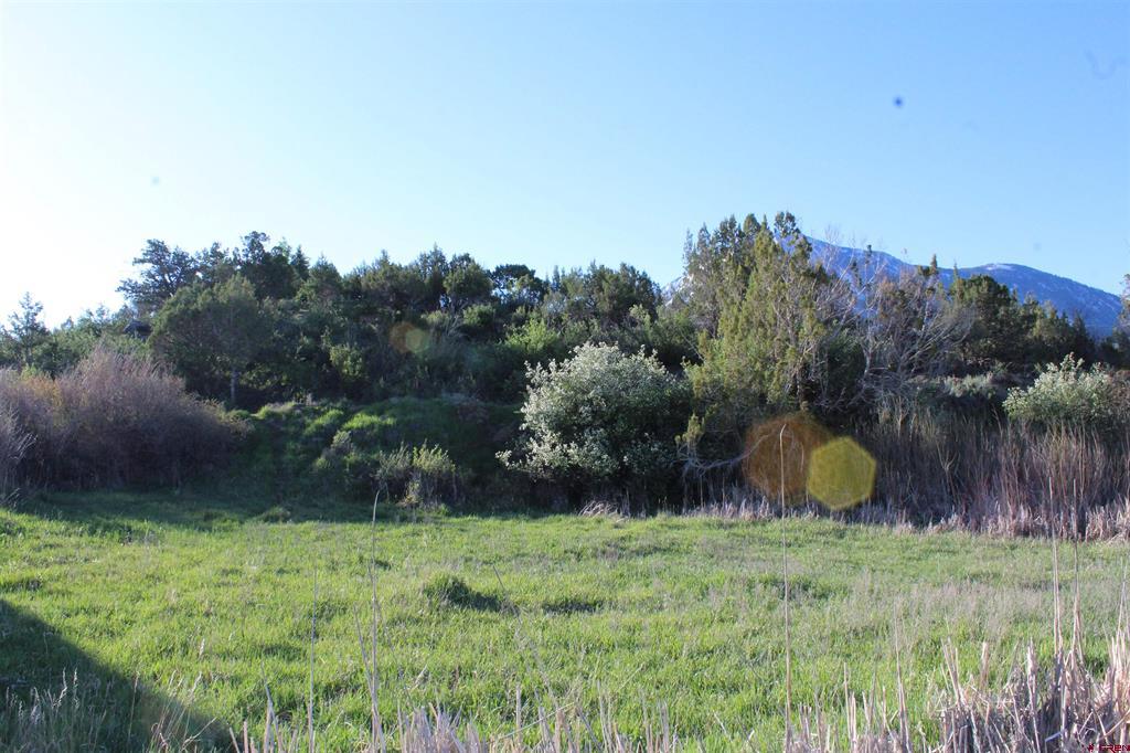 Lot 9 Gunnison Mountain Lane