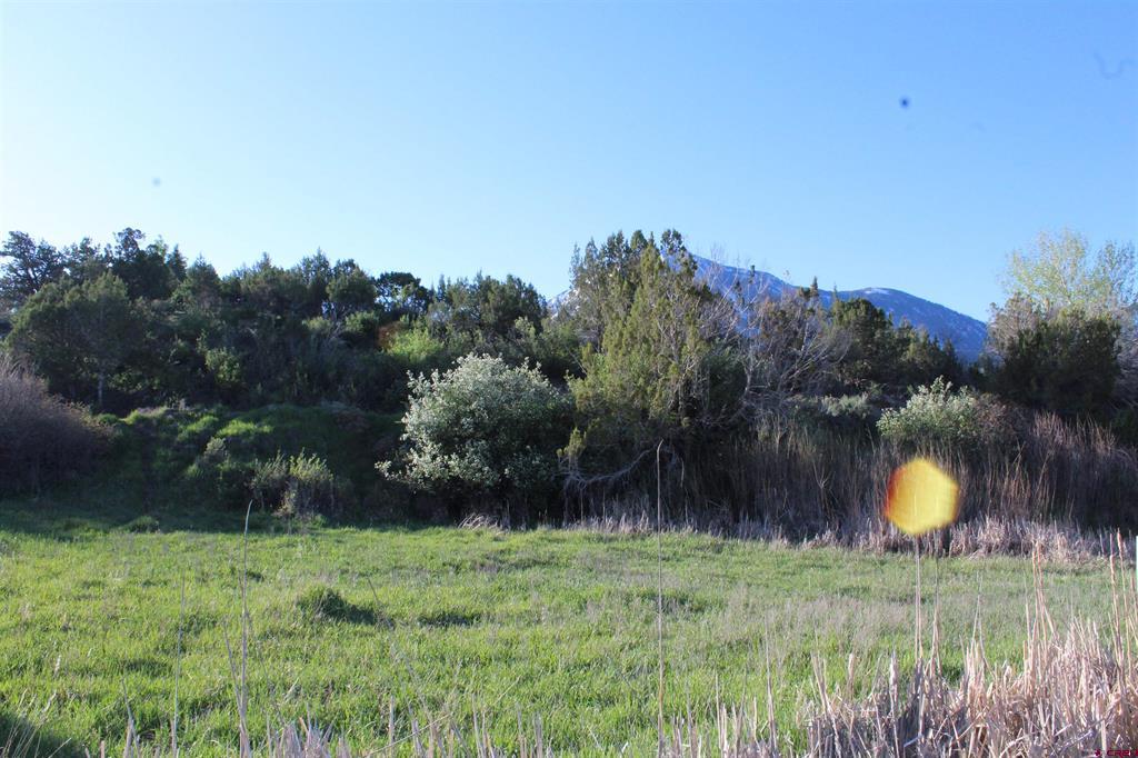 Lot 9 Gunnison Mountain Lane