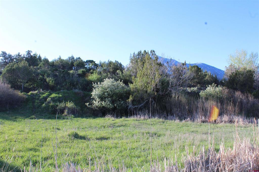 Lot 9 Gunnison Mountain Lane