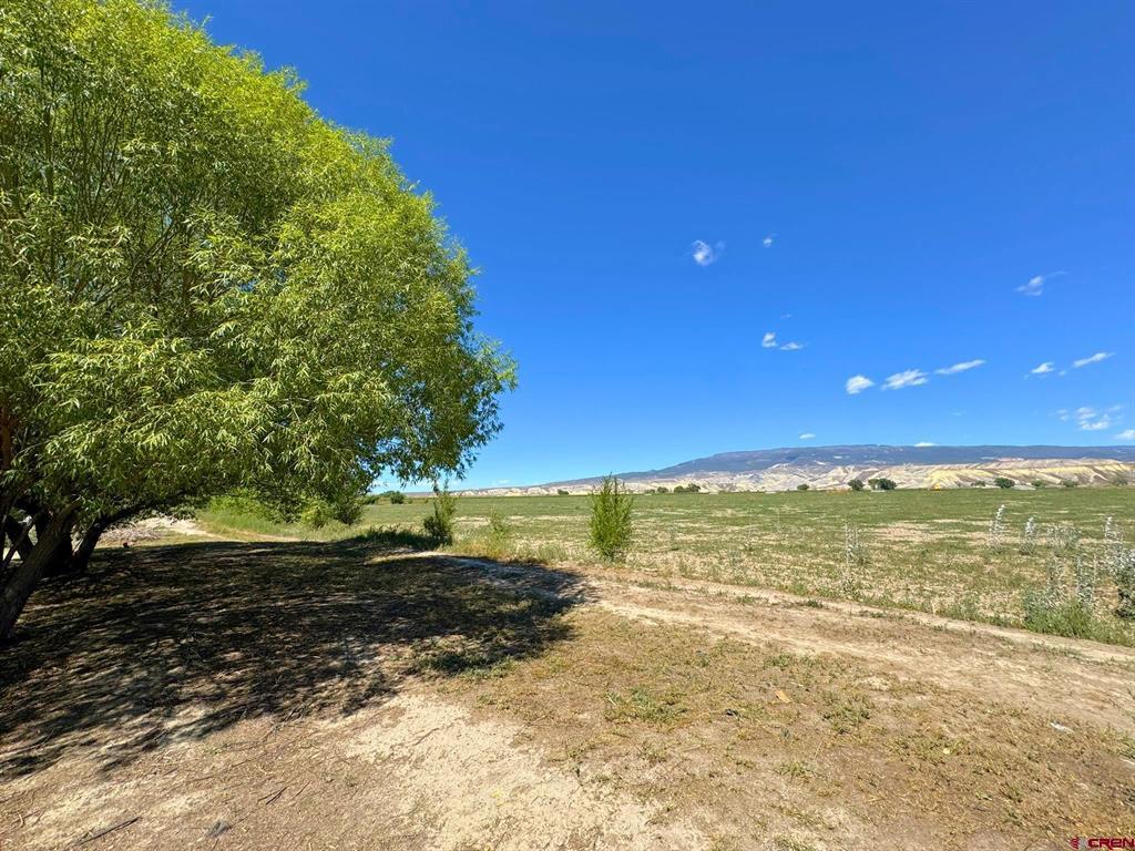 1491 Highway 50 Unit: Lot 21
