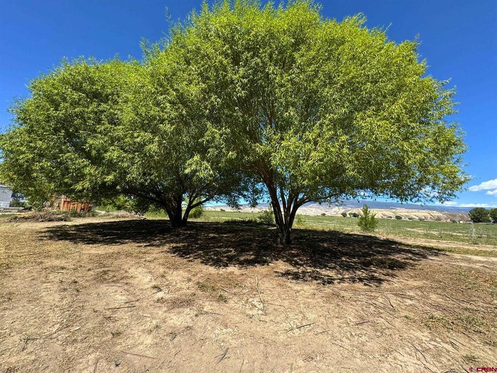 1491 Highway 50 Unit: Lot 21