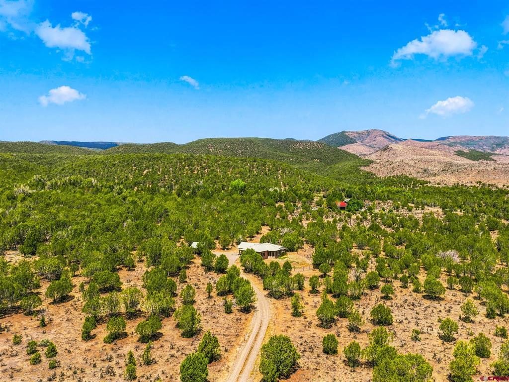 12779 3600 Road