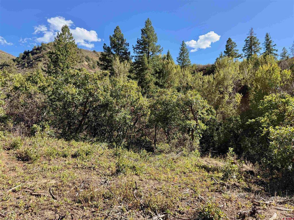 TBD County Road 710