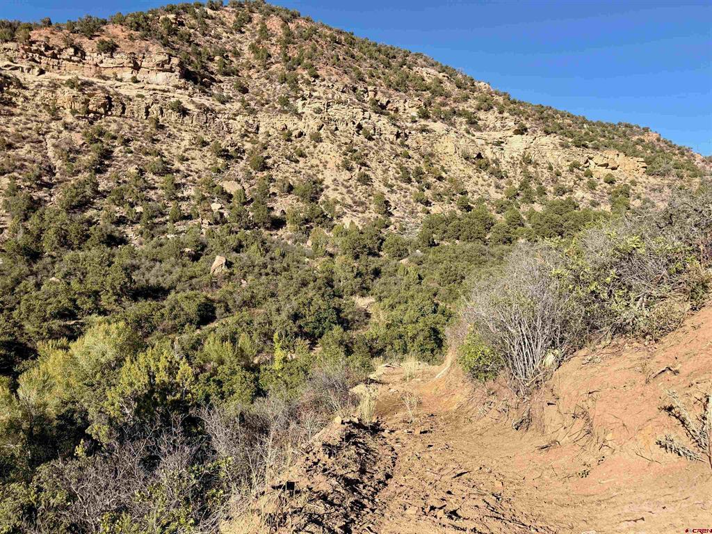 TBD County Road 710