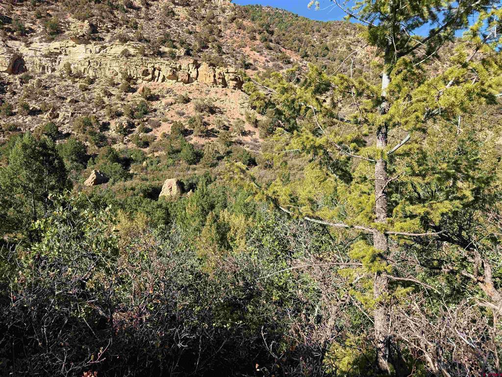 TBD County Road 710