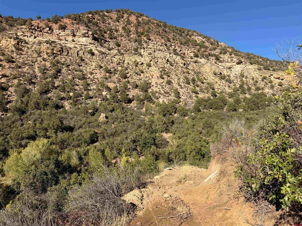 TBD County Road 710