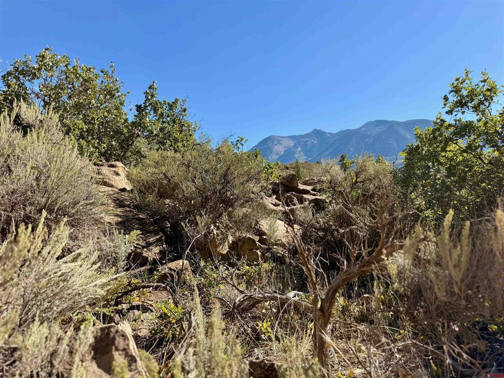 TBD County Road 710